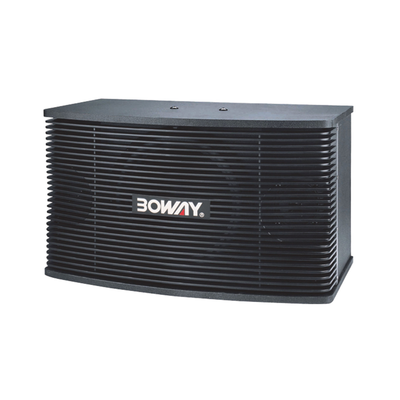 K455 10" two way karaoke speaker 